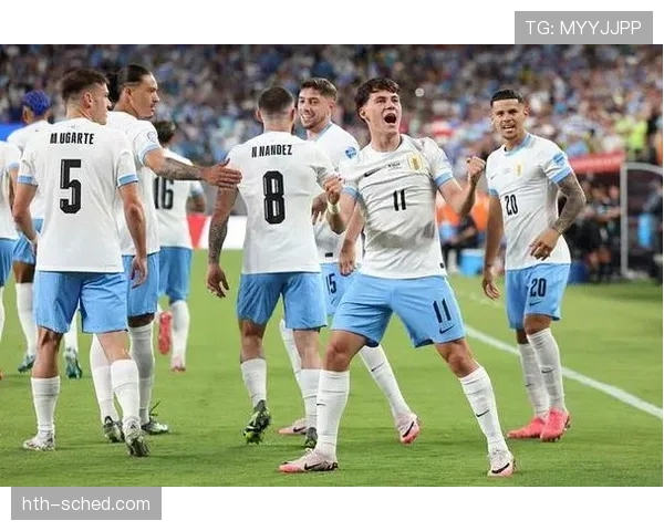 巴尔韦德:世界杯与美洲杯主力身份解析 巴尔韦德:世界杯与美洲杯主力身份解析